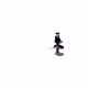 Steamboat-Public Domain time stamp.