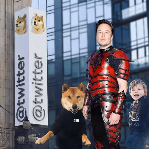 freedogecoin.lens-Collect-1133