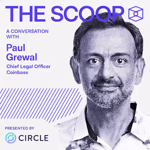 thescoop.lens-Collect-9