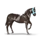 636678