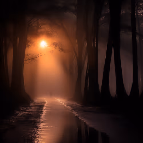 Forest