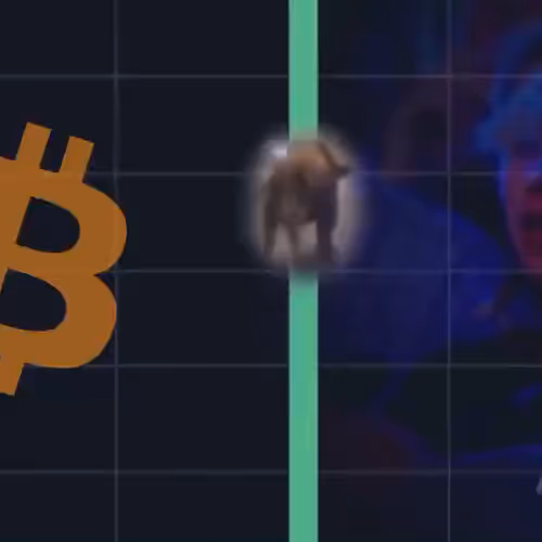 freedogecoin.lens-Collect-861