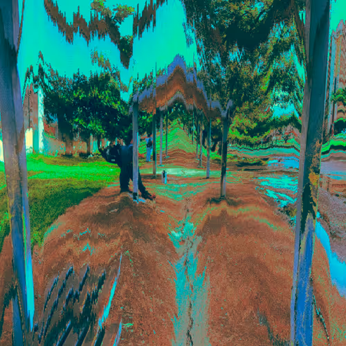 andresbriceno.lens-Collect-2587