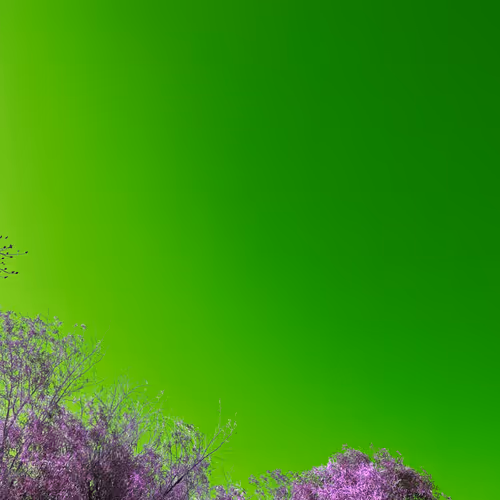 infinati.lens-Collect-389
