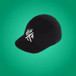 Punk Apestrong World Tour Merch