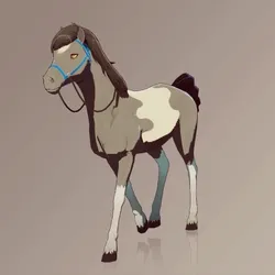 Horse : #103693