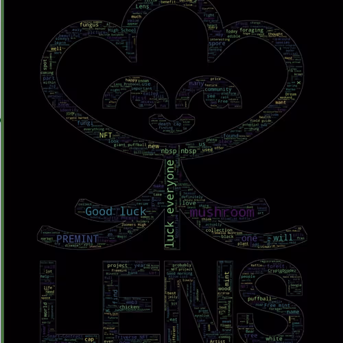 love8.lens-Collect-754