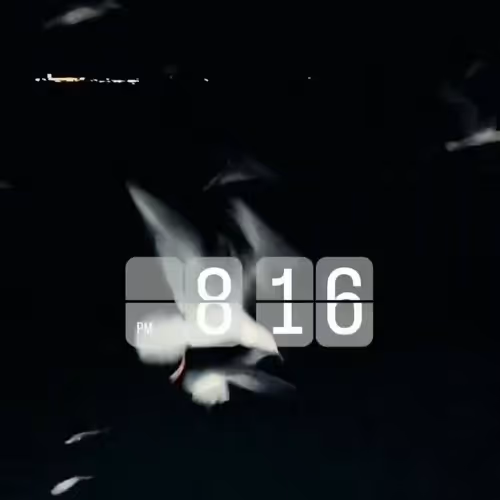 8:16 pm