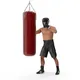 Boxer