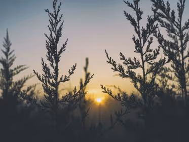 cantopublic.lens-Collect-41