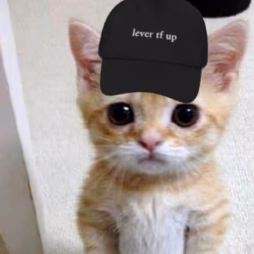 decentralised-memes.lens-Collect-41