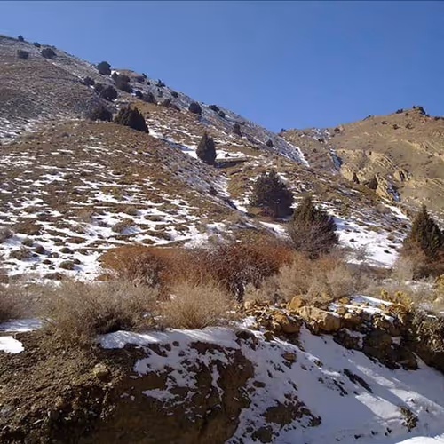 mahanrahimi.lens-Collect-319