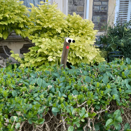 Nosey Neighbour