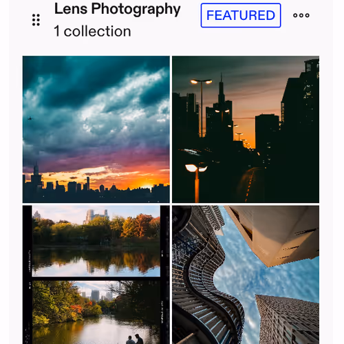 ryanfox.lens-Collect-2135