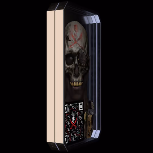 www.HighSeasPirates.com