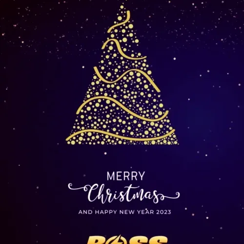 XMAS 2022 with Boss Fighters