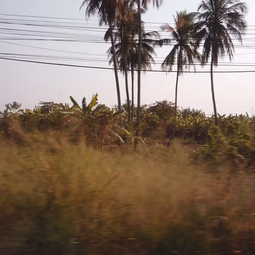 affluent.lens-Collect-89