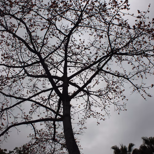flybenben.lens-Collect-136