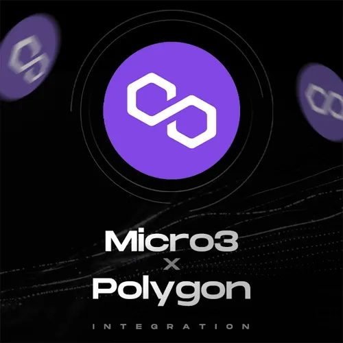 Micro3 x Polygon