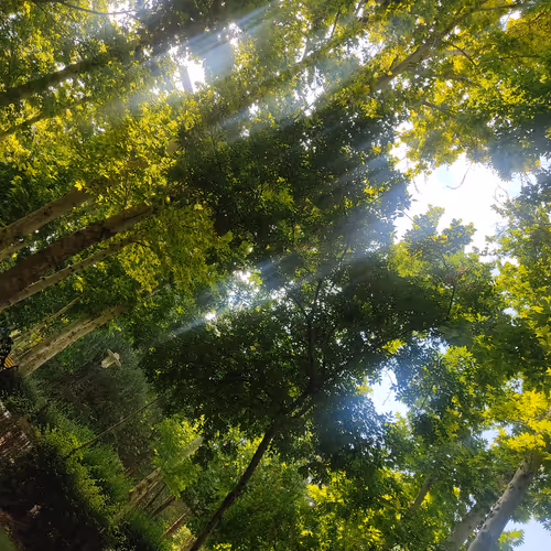 funyxz.lens-Collect-810