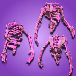 Dusty Old Body Bones