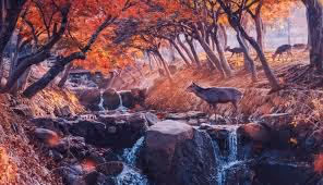 alirahimy_1992.lens-Collect-202