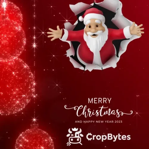 XMAS 2022 with Cropbytes