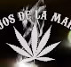 Maravillas del cannabis