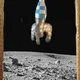 Birbs on the Moon-test1