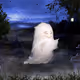 The Most Ghost