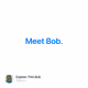 Meet Bob.