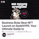 Business Bolar Bear NFT Launch on SeekHYPE: Your Ultimate Guide to Becoming a Web3 Boss