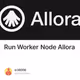 Run Worker Node Allora