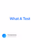 What A Test V2