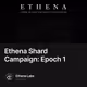 Ethena Shard Campaign: Epoch 1