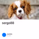 sergo88