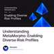 Understanding MetaMorpho: Enabling Diverse Risk Profiles