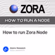 How to run Zora Node