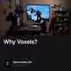 Why Voxels?