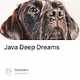 Java Deep Dreams V2
