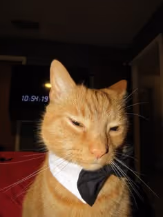 Marcador de posición de elemento multimedia