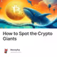 How to Spot the Crypto Giants