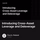 Introducing Cross-Asset Leverage and Deleverage