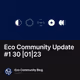 Eco Community Update #1     30 |01|23