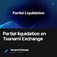 Partial liquidation on Tsunami Exchange