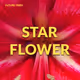 Starflower