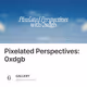 Pixelated Perspectives: 0xdgb