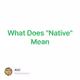What Does "Native" Mean