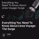 Everything You Need To Know About Linea Voyage: The Surge