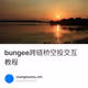 bungee跨链桥空投交互教程